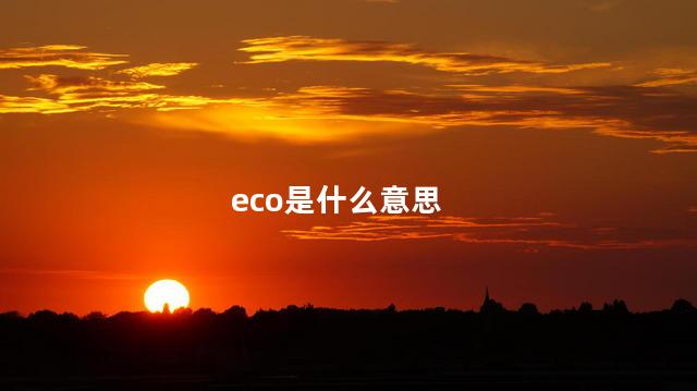 eco是什么意思